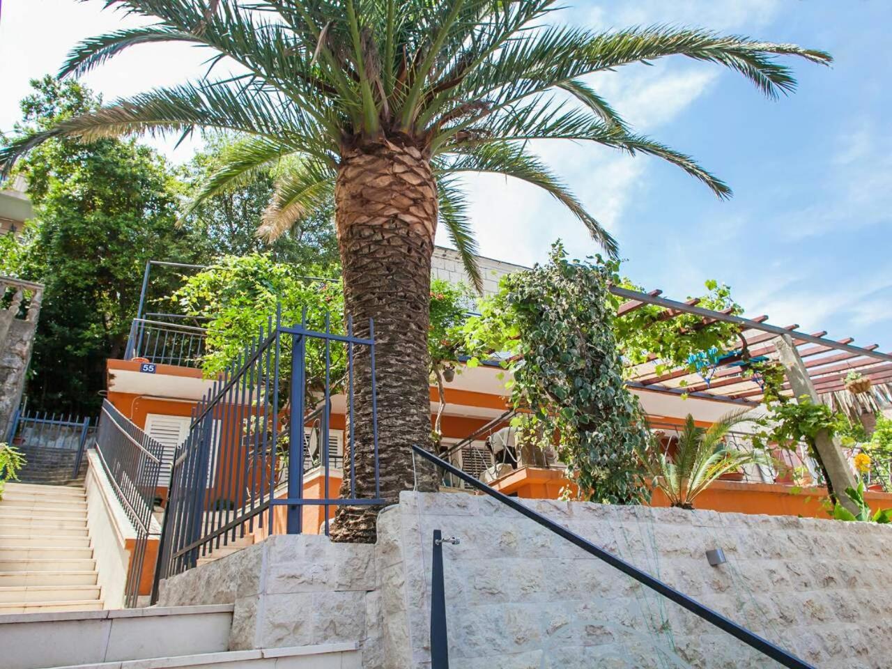 Guest House Amfora بودفا المظهر الخارجي الصورة